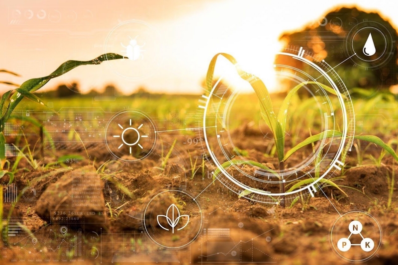 Al trong lĩnh vực nông nghiệp